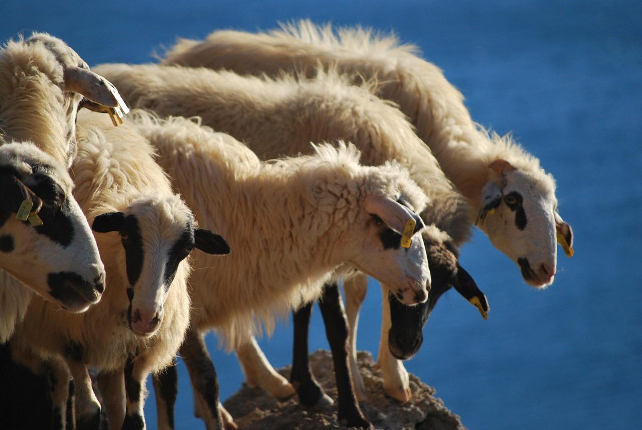 Crete With Kids: A Practical Family Holiday Guide