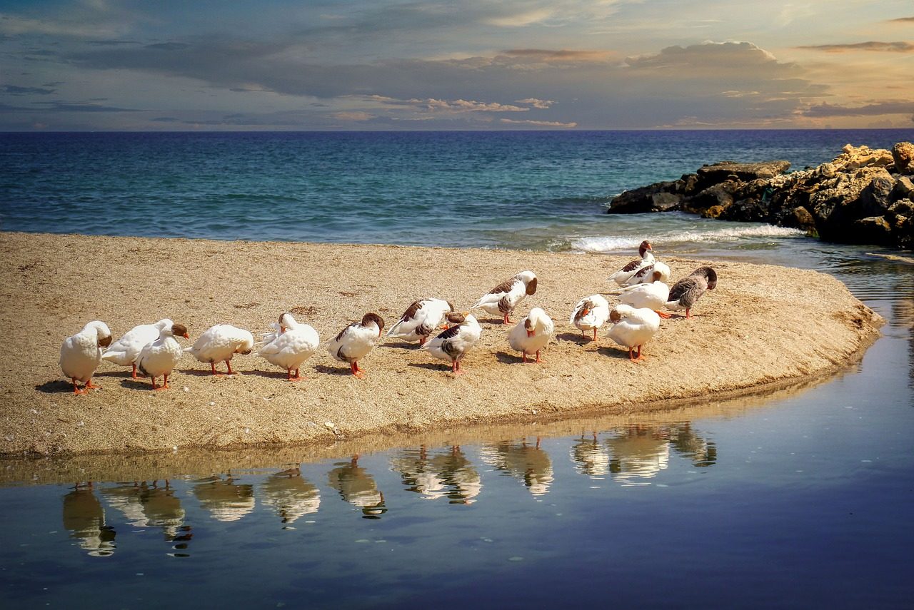 3 Days in Chania: A Personalized Crete Itinerary